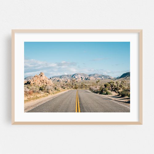 Joshua Tree Road 02