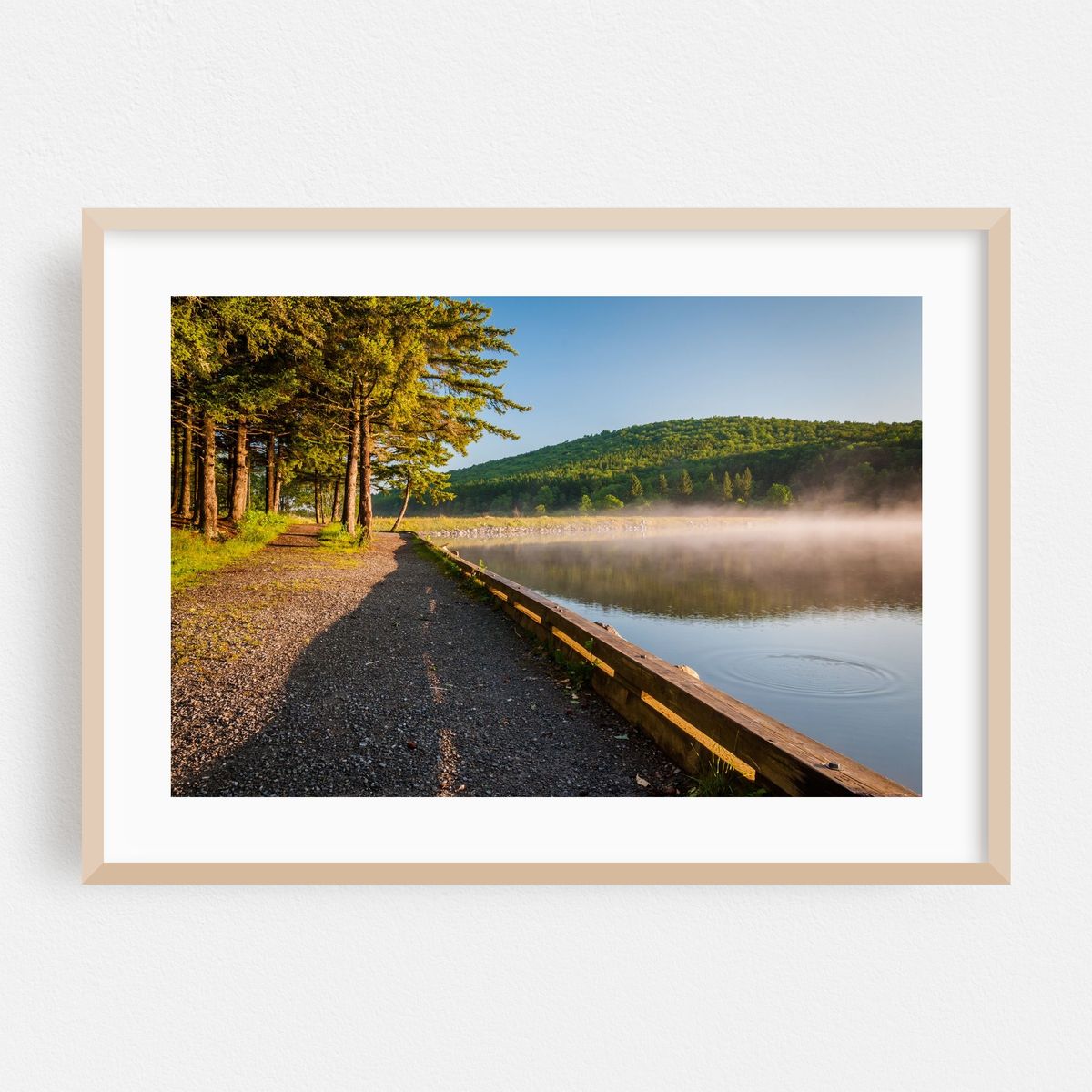 Spruce Knob Lake Fog – image 1 of 6