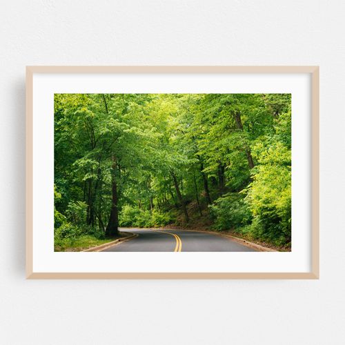 Grandview Drive