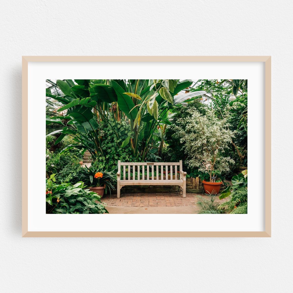 Luthy Botanical – image 1 of 6