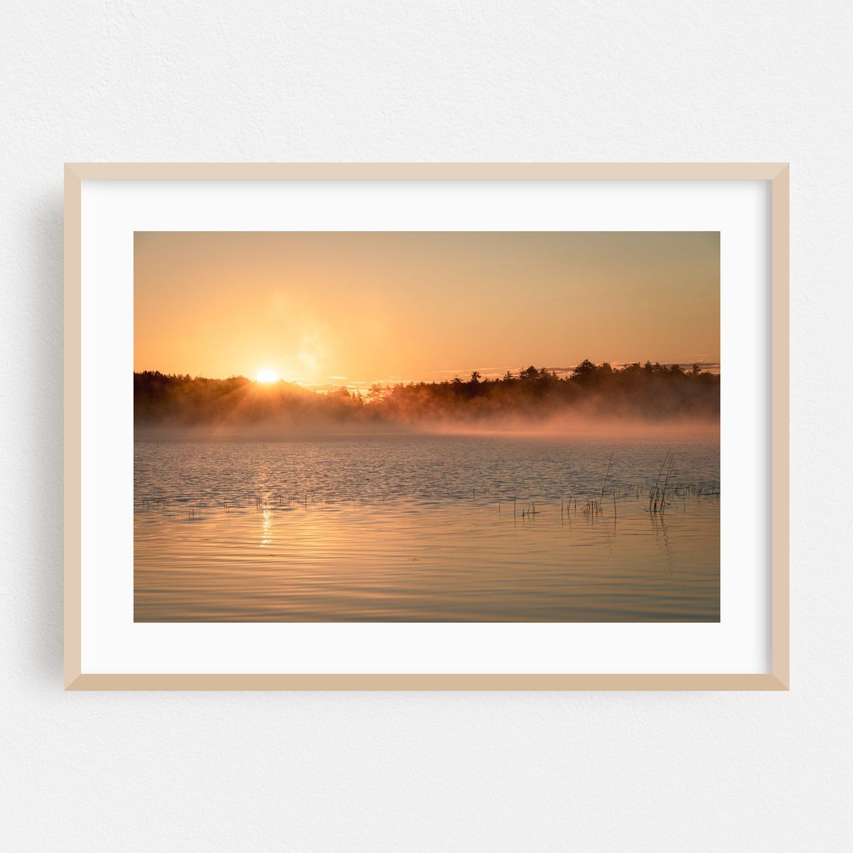 Lower Togue Pond Sunrise – image 1 of 6