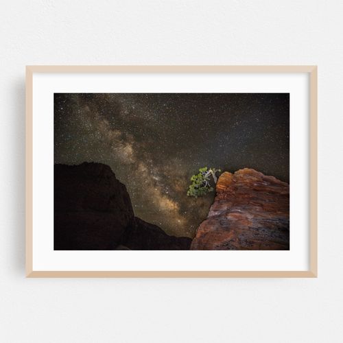 Zion Milky Way