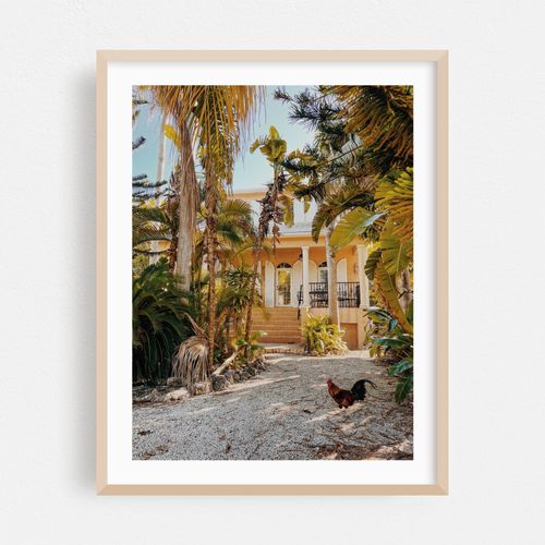 Key West Still Life