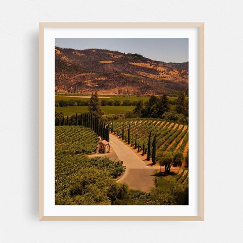 The Road to Napa Valley