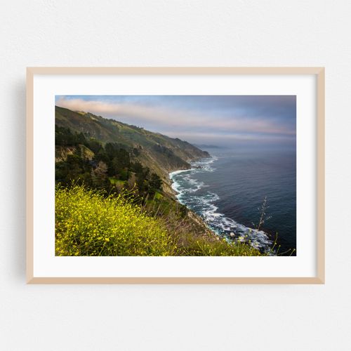 Flowers over The Pacific