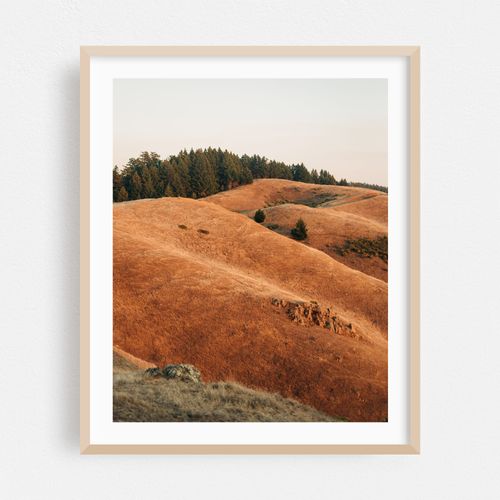 Tamalpais Evening View 01