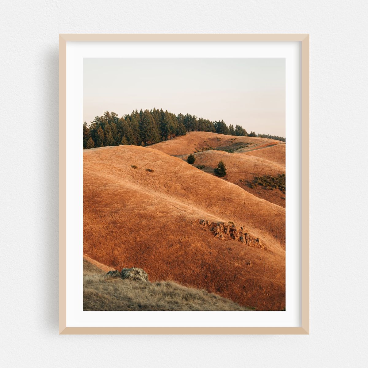 Tamalpais Evening View 01 – image 1 of 12