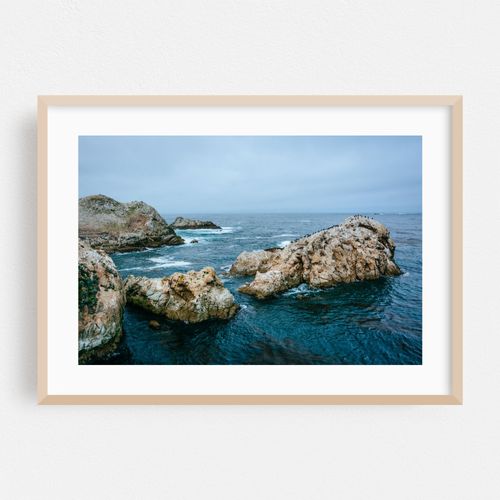 Point Lobos Coastal 01