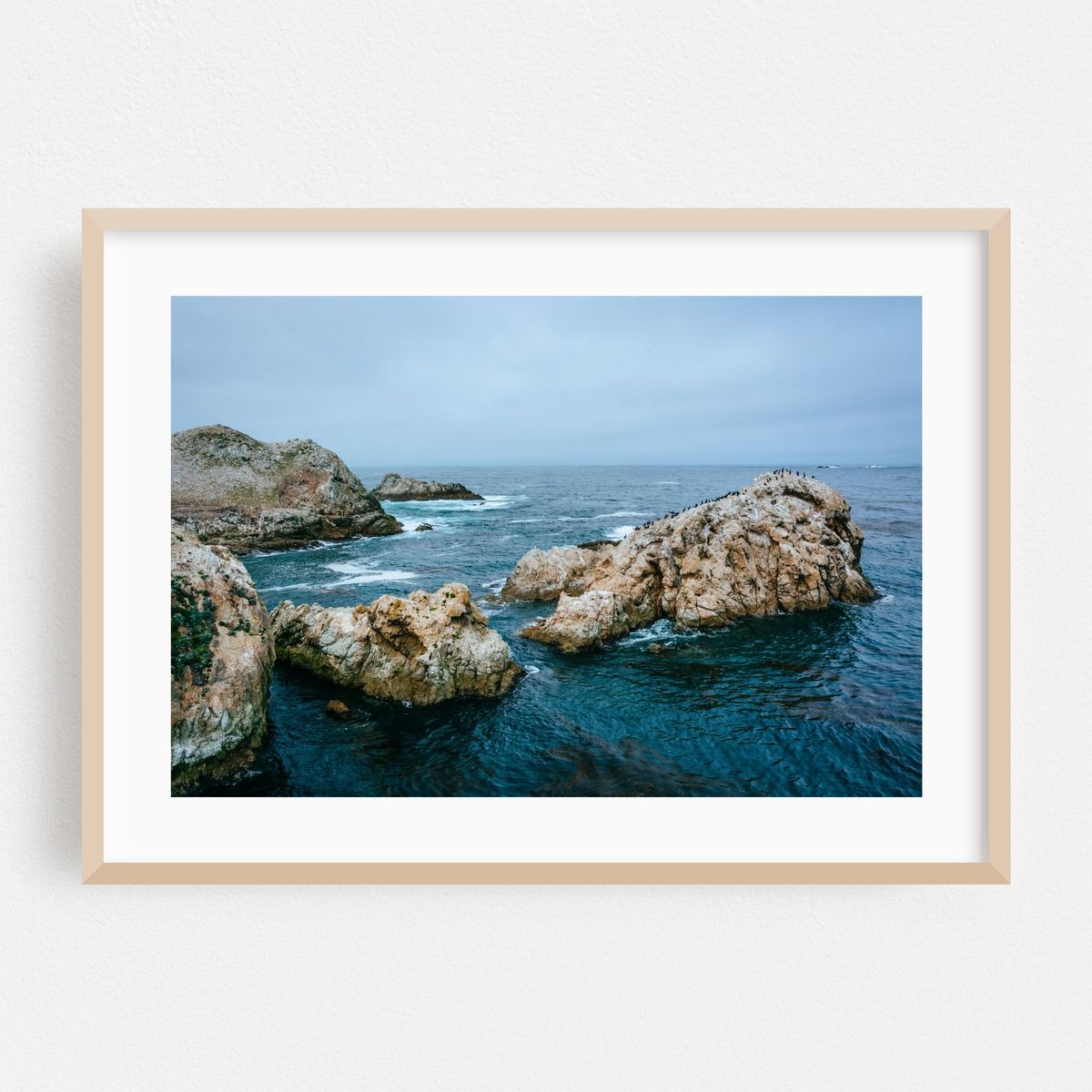 Point Lobos Coastal 01 – image 1 of 6