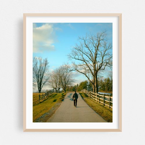 Walking at Knox Farm