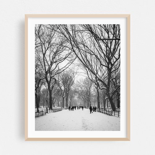 Snowy Central Park 02 B&W