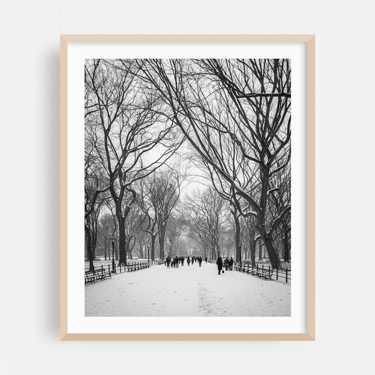 Snowy Central Park 02 B&W – image 1 of 12
