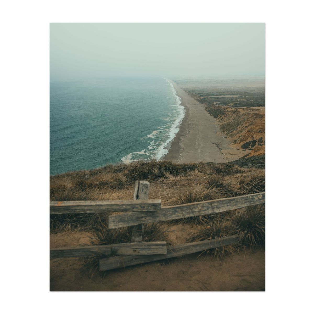 Point Reyes 02 - 2026 – image 1 of 2
