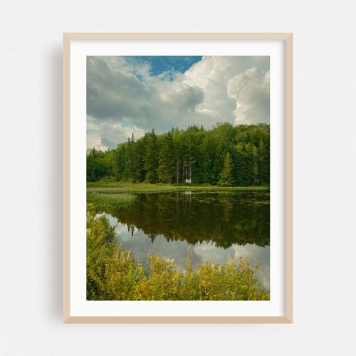 Lake Alma, Averys Place 01