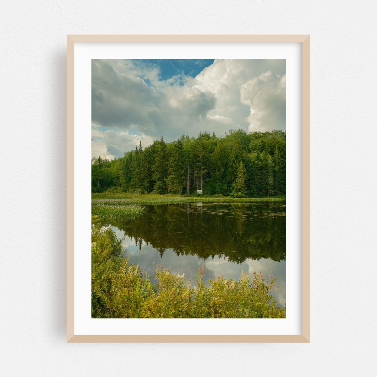 Lake Alma, Averys Place 01 – image 1 of 3