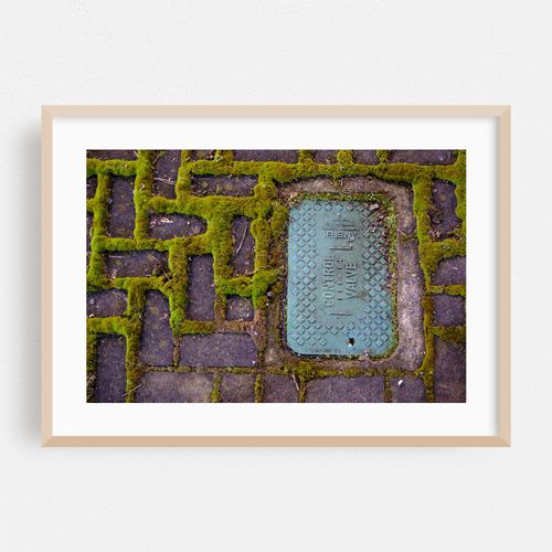 PDX Stone and Moss