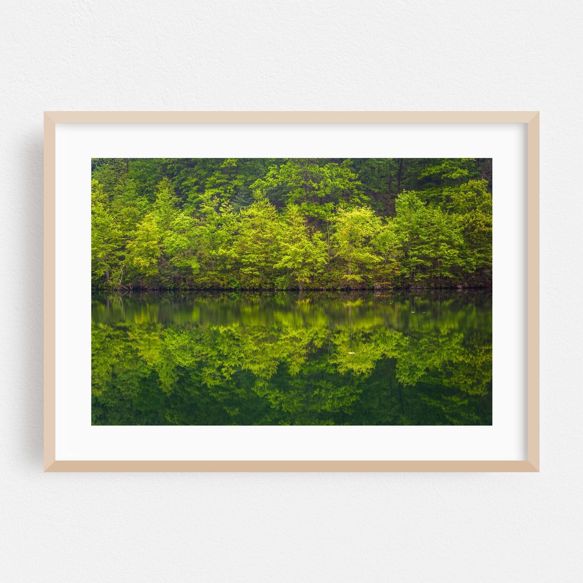 Reflections in Prettyboy – image 1 of 6