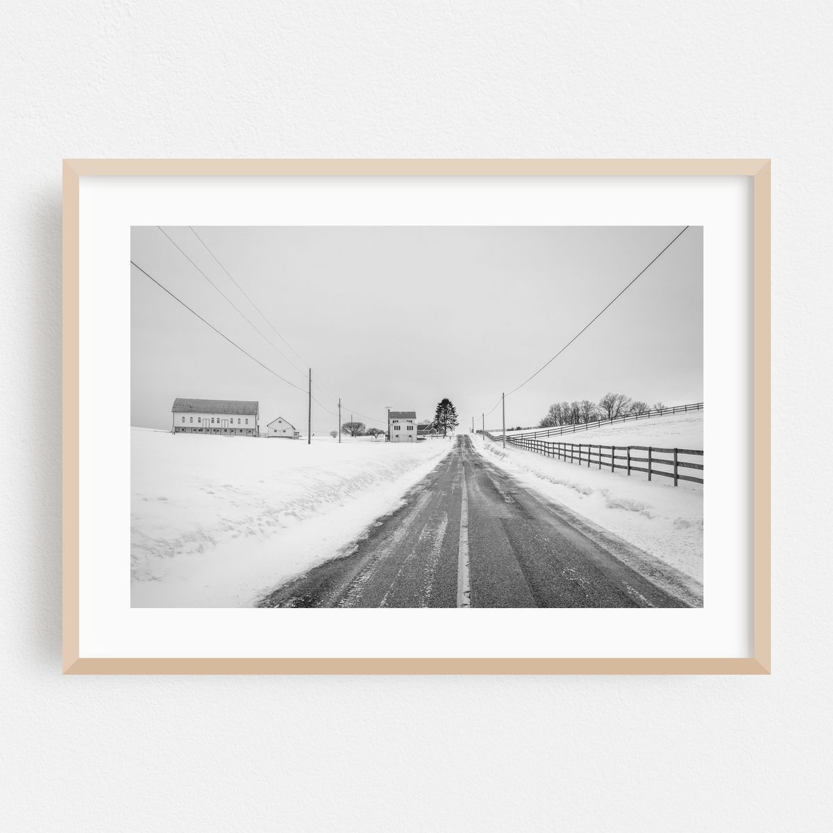Late December B&W – image 1 of 6