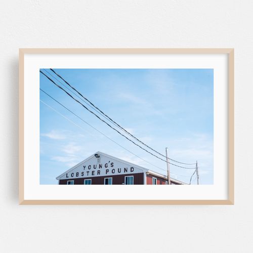 Young's Lobster Pound 01
