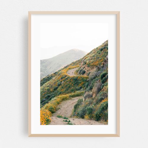 Walker Canyon Trail 03