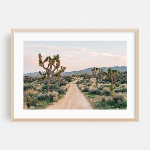 Dirt Road, Rimrock 01