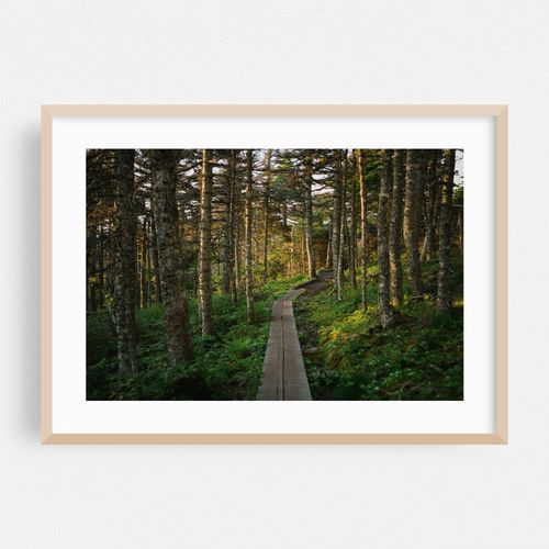 Cobbler Path, Torbay Point 01