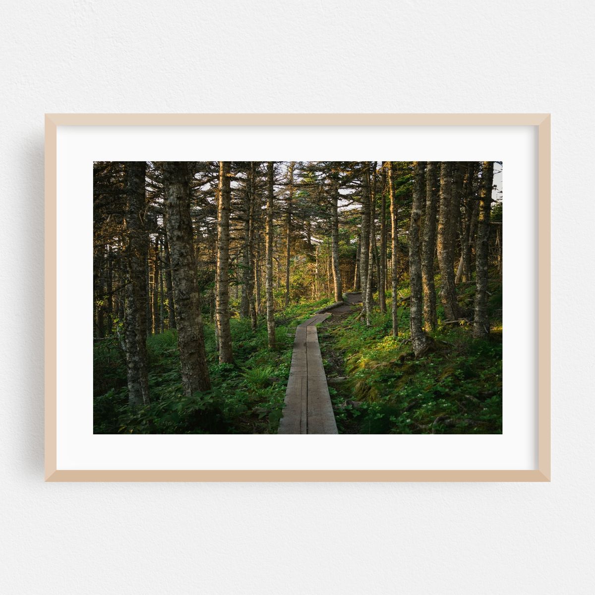 Cobbler Path, Torbay Point 01 – image 1 of 6