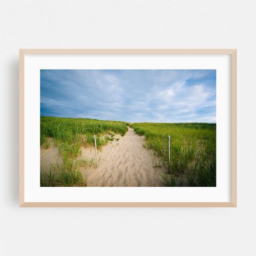 Dunes at Race Point