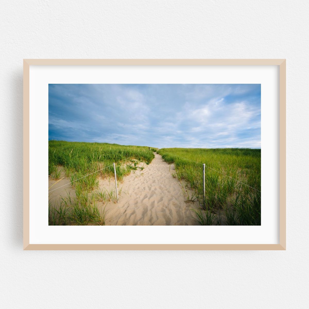 Dunes at Race Point – image 1 of 6