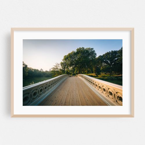 Bow Bridge, Central Park 04