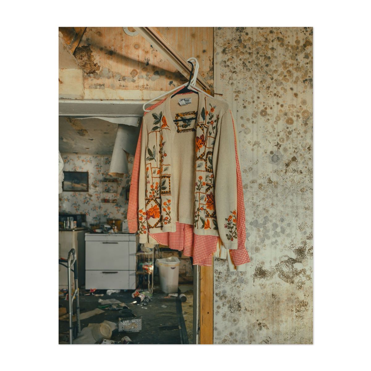 August Evening House 06 – image 1 of 2