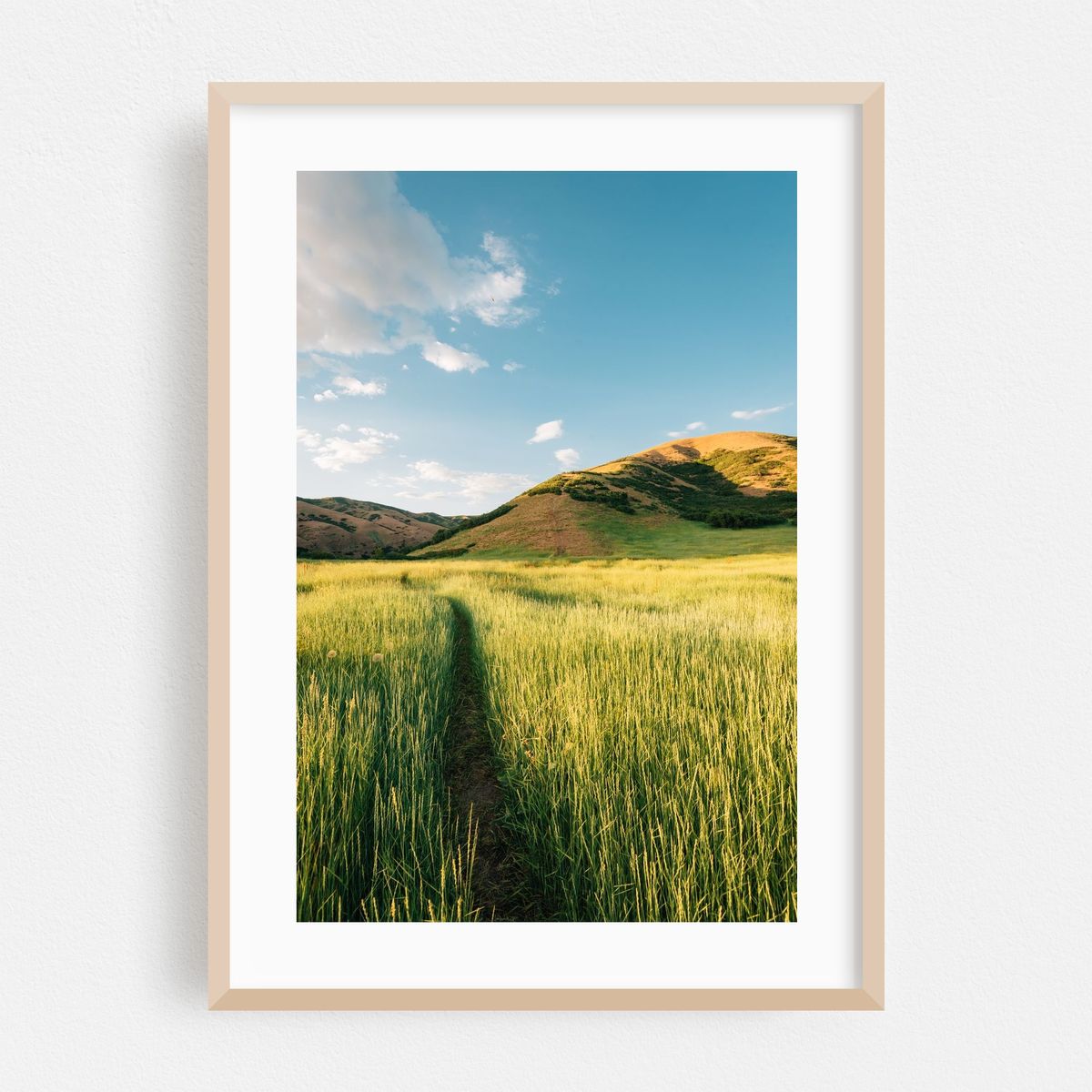 Bonneville Shoreline Trail 01 – image 1 of 16