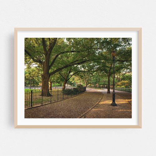 Tompkins Square Park 02
