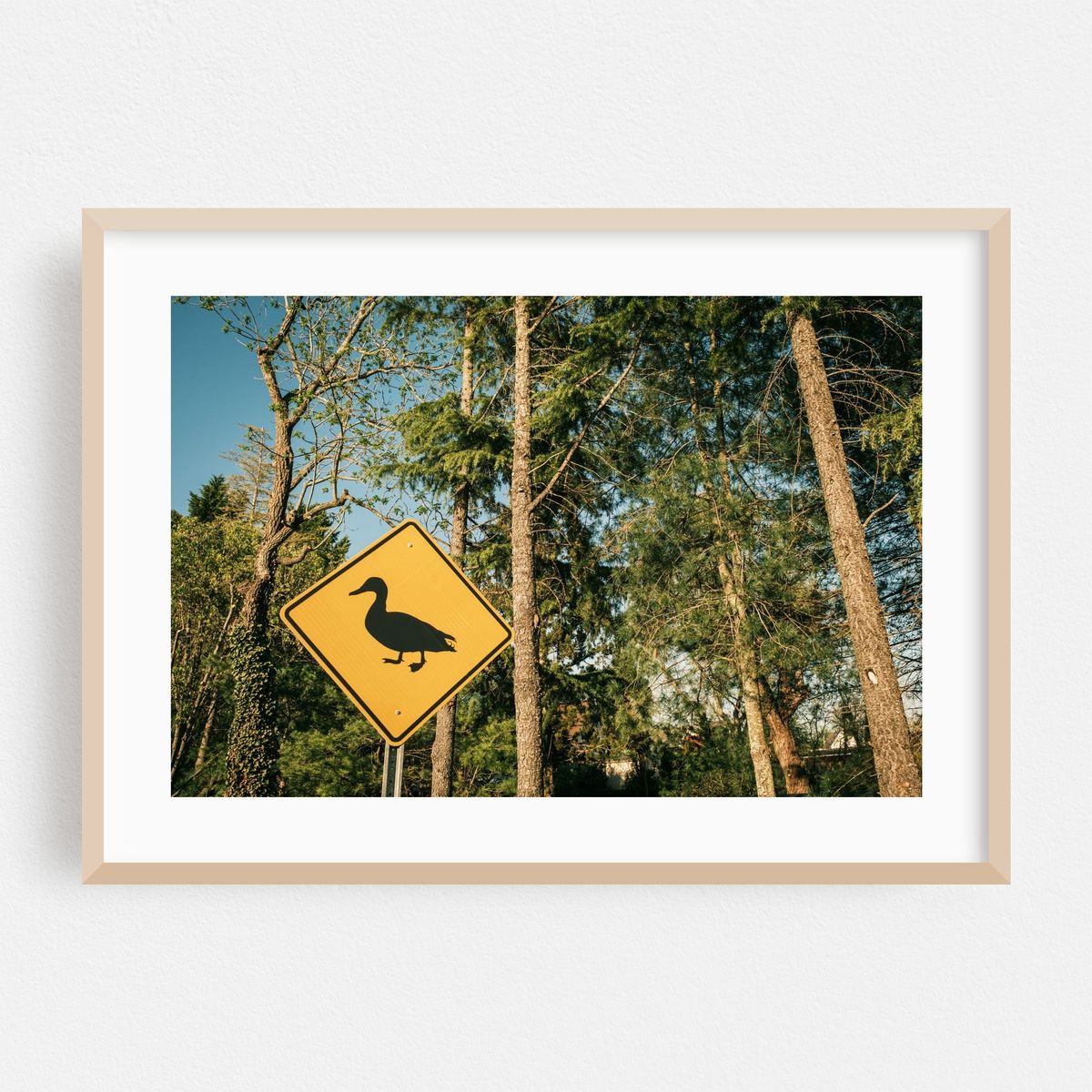 Duck Sign in Mays Landing – image 1 of 6