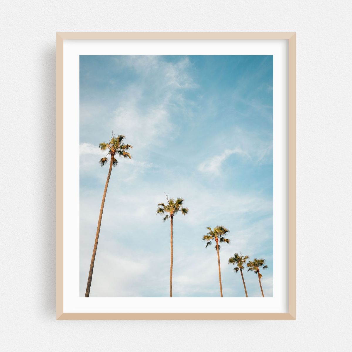 Newport Beach Palms 01 – image 1 of 12