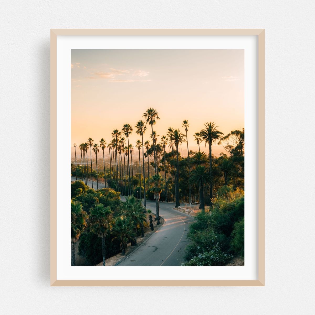Elysian Park Palms, Los Angeles 01 – image 1 of 12