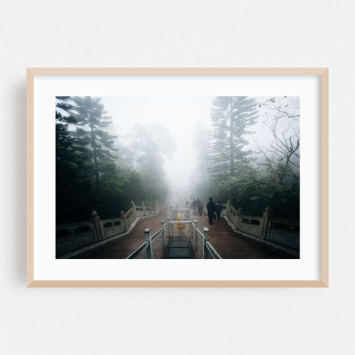 Fog Leading to The Big Buddha