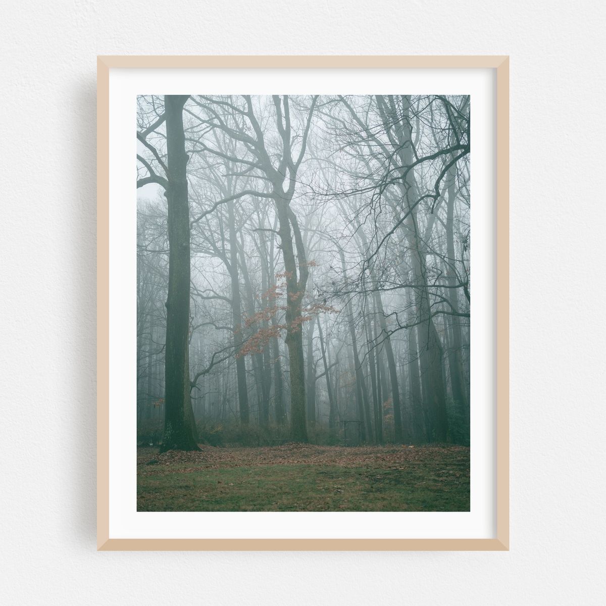 Foggy Woods, Bel Air 01 – image 1 of 12