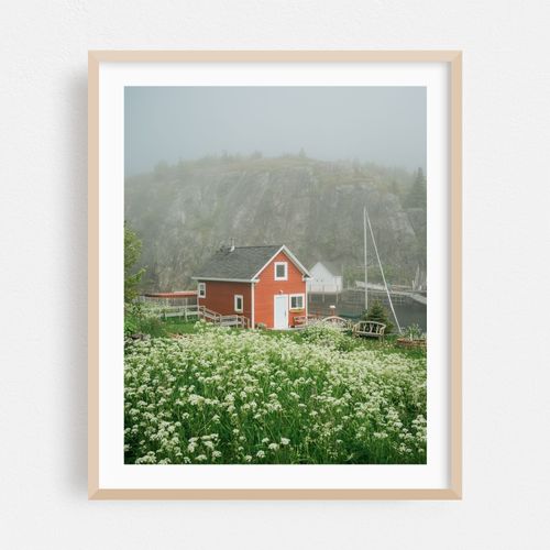 Red House, Quidi Vidi Harbour