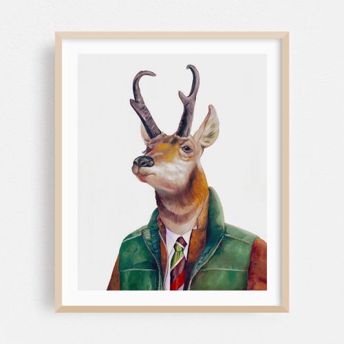 Pronghorn Deer