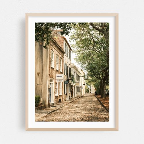 Charleston Architecture 03