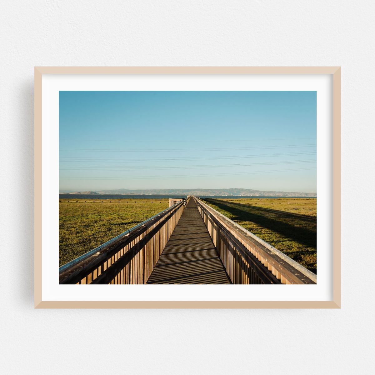 Baylands Nature Preserve, Palo Alto 03 – image 1 of 3