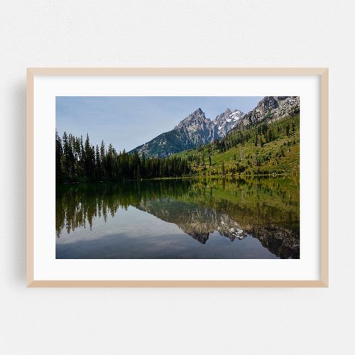 Jenny Lake Reflections