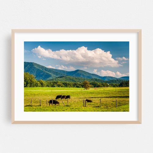 Rural Shenandoah Valley 02
