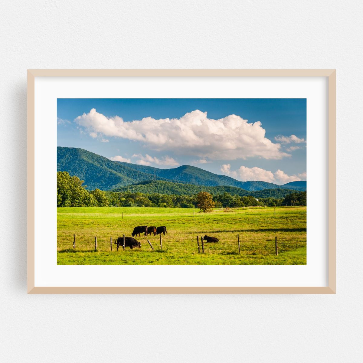 Rural Shenandoah Valley 02 – image 1 of 6