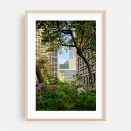 Garden and Buildings in Greenwich Village