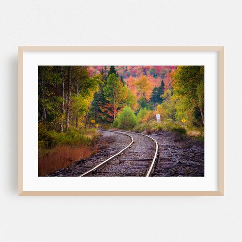 Autumn Railroad