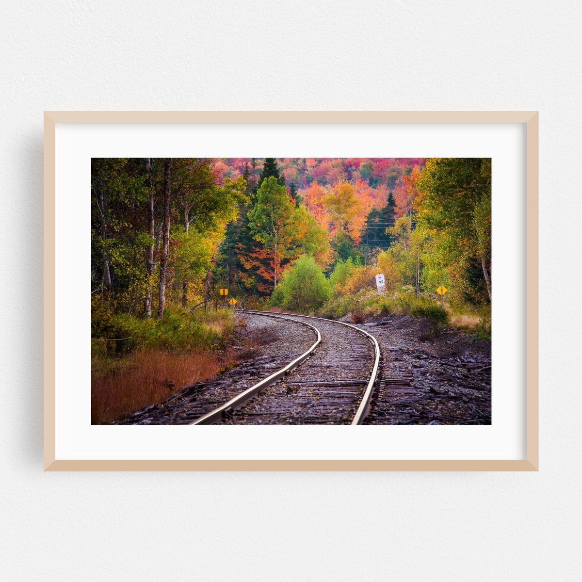 Autumn Railroad – image 1 of 6