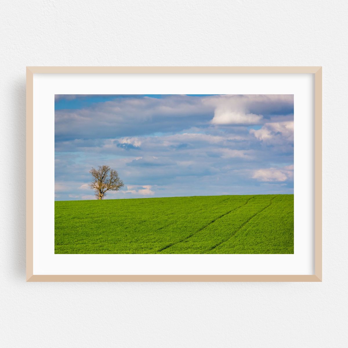 Lonely Tree, Spring Grove No. 2 – image 1 of 6