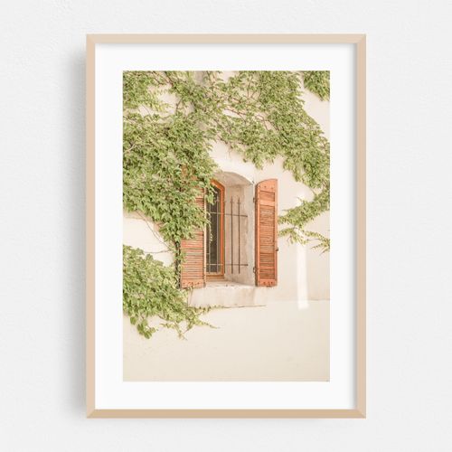 French Window Shutters